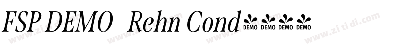 FSP DEMO   Rehn Cond字体转换